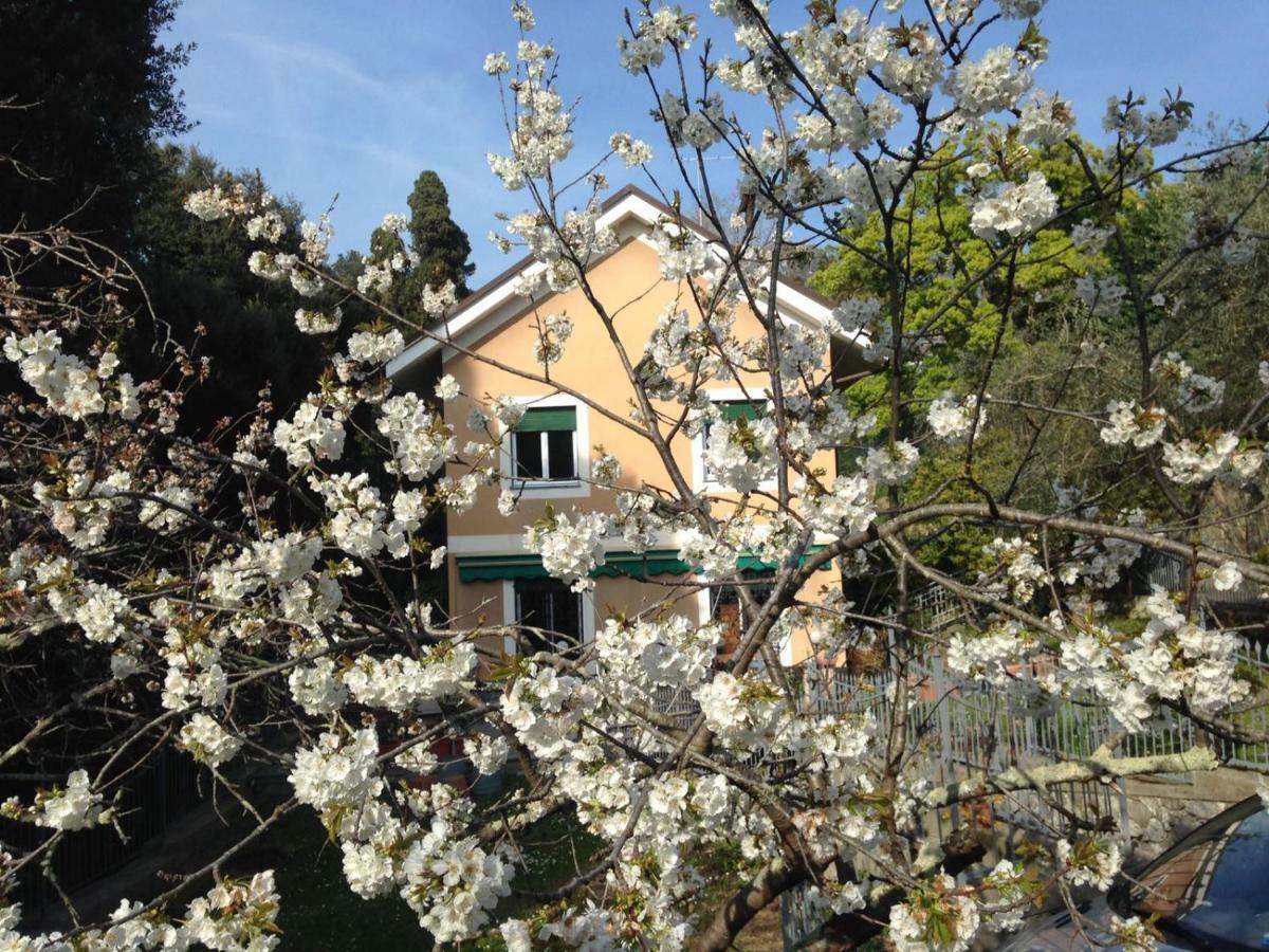 B&B La Rosa Segreta Genova Eksteriør bilde